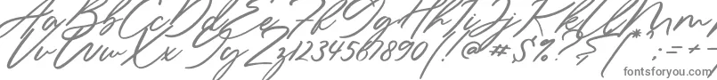 Sieroty-Schriftart – Graue Schriften auf weißem Hintergrund