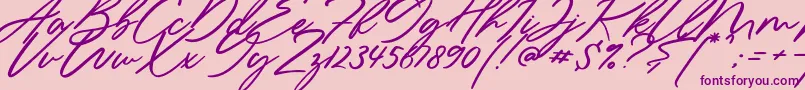 Sieroty Font – Purple Fonts on Pink Background