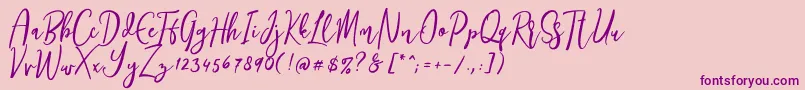 More about Siesta Font Siesta Font – Purple Fonts on Pink Background