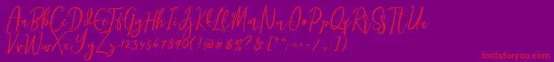 Siesta Font – Red Fonts on Purple Background