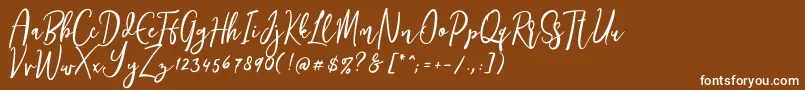 Siesta Font – White Fonts on Brown Background