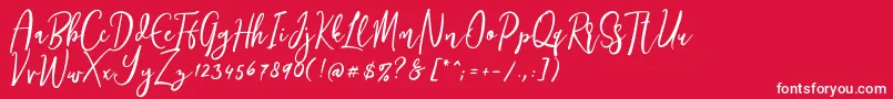 Siesta Font – White Fonts on Red Background