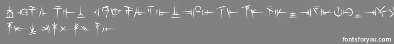 フォントSigali Script – 灰色の背景に白い文字