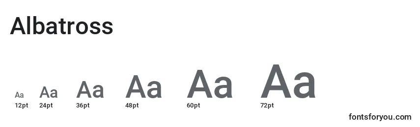 Размеры шрифта Albatross