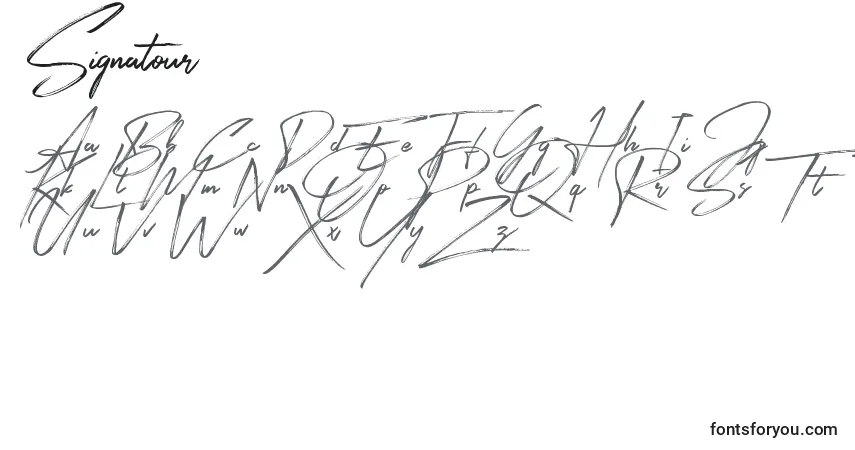 Czcionka Signatour – alfabet, cyfry, specjalne znaki