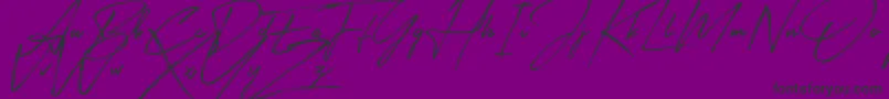 Signatour Font – Black Fonts on Purple Background