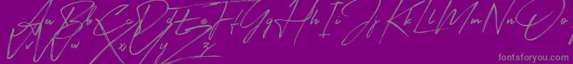 Signatour Font – Gray Fonts on Purple Background