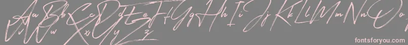 Signatour-Schriftart – Rosa Schriften auf grauem Hintergrund