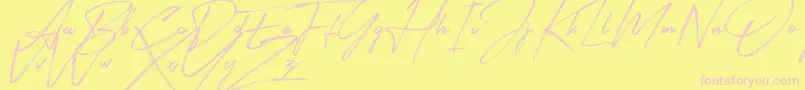 Signatour Font – Pink Fonts on Yellow Background