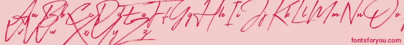 Signatour Font – Red Fonts on Pink Background