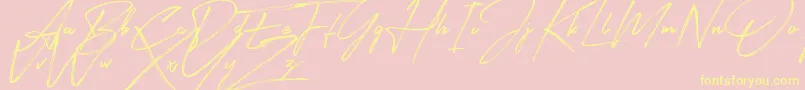 Signatour Font – Yellow Fonts on Pink Background