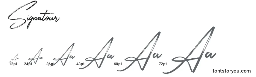Größen der Schriftart Signatour