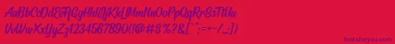 Signatra Font – Purple Fonts on Red Background