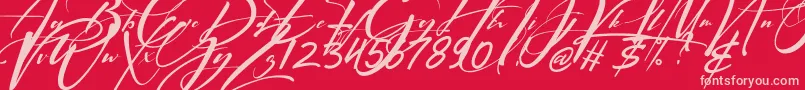 Signatrue Font – Pink Fonts on Red Background