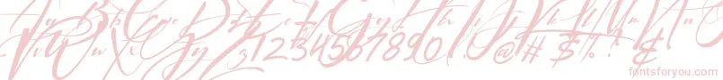 Signatrue Font – Pink Fonts