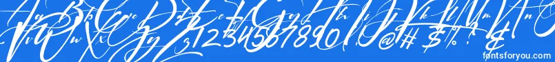 Signatrue Font – White Fonts on Blue Background