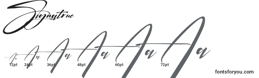 Größen der Schriftart Signatrue