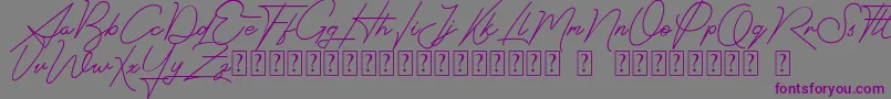 Weitere Informationen zur Signatrust-Schriftart Signatrust-Schriftart – Violette Schriften auf grauem Hintergrund