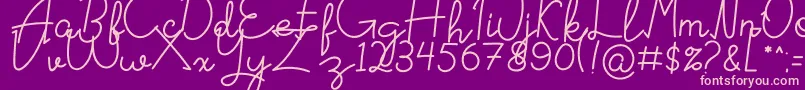 Signattured Font – Pink Fonts on Purple Background