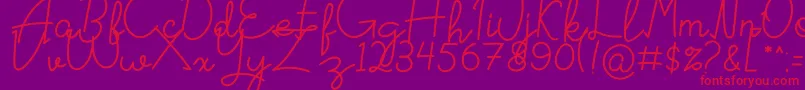 fuente Signattured – Fuentes Rojas Sobre Fondo Morado