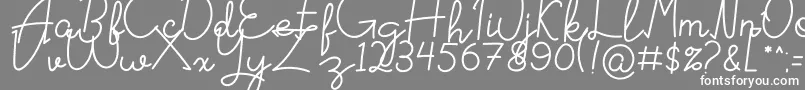 フォントSignattured – 灰色の背景に白い文字