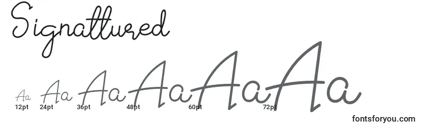 Размеры шрифта Signattured