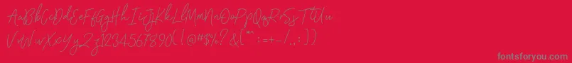 Signatura Monoline-Schriftart – Graue Schriften auf rotem Hintergrund