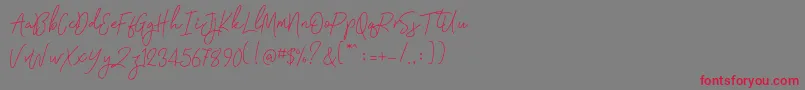 Signatura Monoline Font – Red Fonts on Gray Background