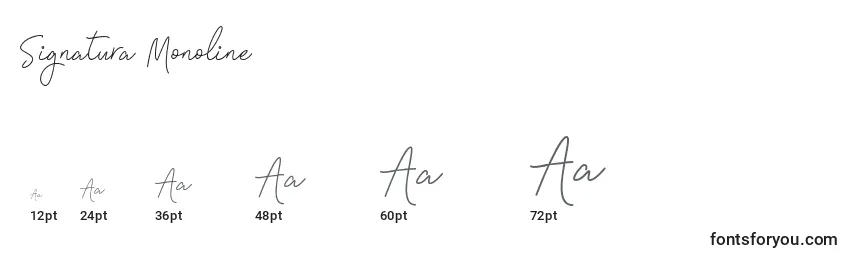 Размеры шрифта Signatura Monoline