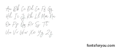 Signatura Monoline Font