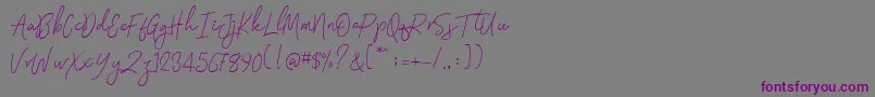 Signatura Monoline Font – Purple Fonts on Gray Background