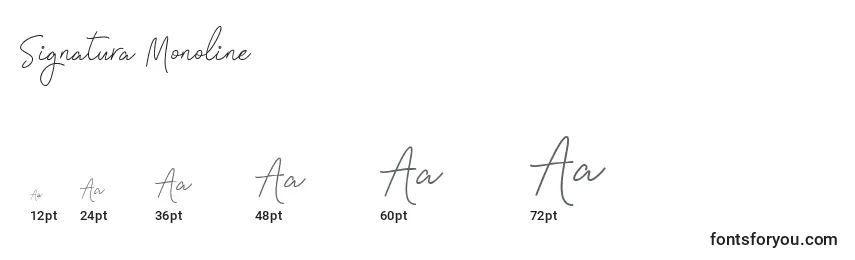 Размеры шрифта Signatura Monoline (140870)
