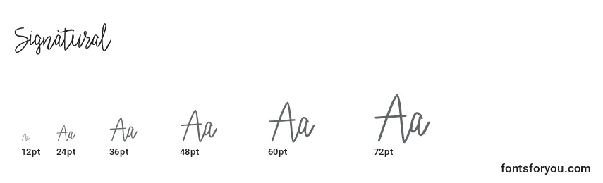 Signatural Font Sizes