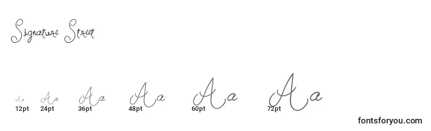 Signature Street Font Sizes