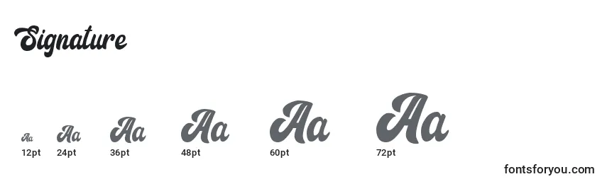 Signature Font Sizes