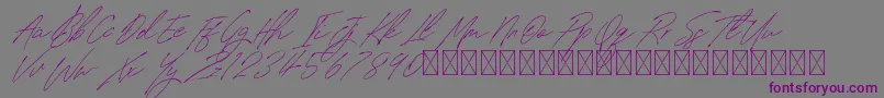 SignatureVP PersonalUse-Schriftart – Violette Schriften auf grauem Hintergrund