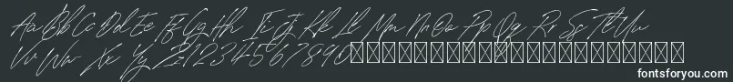 SignatureVP PersonalUse-fontti – valkoiset fontit mustalla taustalla