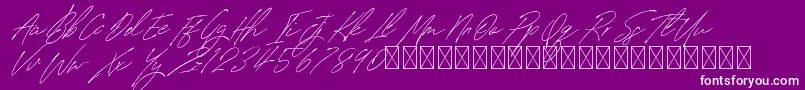 SignatureVP PersonalUse Font – White Fonts on Purple Background