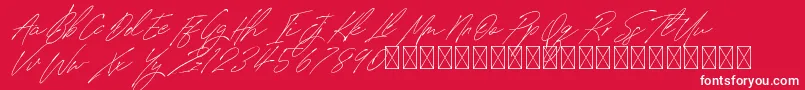 SignatureVP PersonalUse Font – White Fonts on Red Background