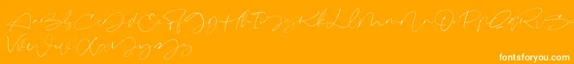 Signeritta Font – White Fonts on Orange Background