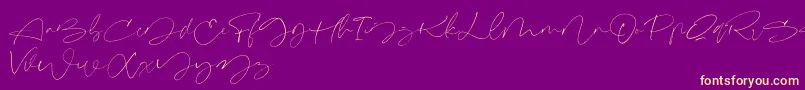 Signeritta Font – Yellow Fonts on Purple Background