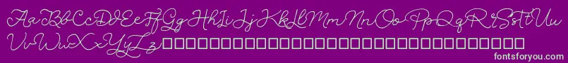 SignSound Font – Green Fonts on Purple Background