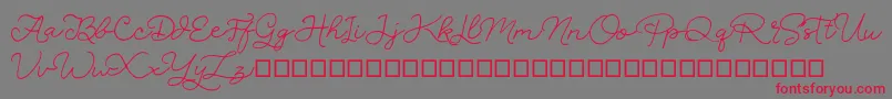 SignSound Font – Red Fonts on Gray Background