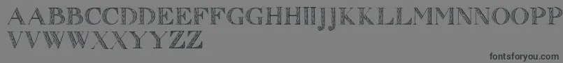 Zierinitialen1 Font – Black Fonts on Gray Background