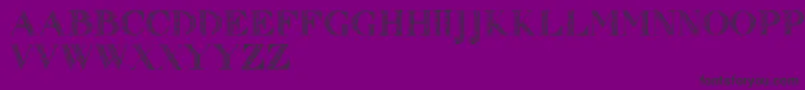 Zierinitialen1 Font – Black Fonts on Purple Background