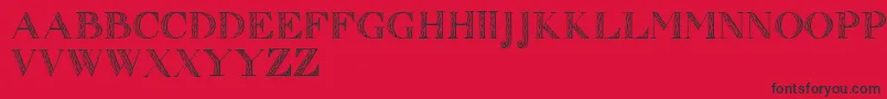 Zierinitialen1 Font – Black Fonts on Red Background