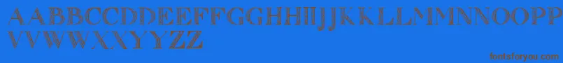 Zierinitialen1 Font – Brown Fonts on Blue Background