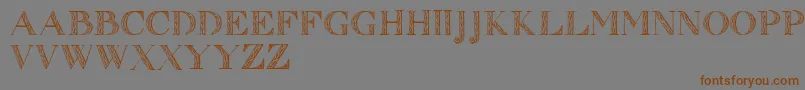 Zierinitialen1 Font – Brown Fonts on Gray Background