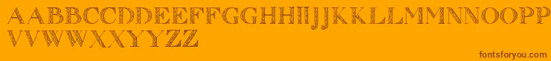 Zierinitialen1 Font – Brown Fonts on Orange Background