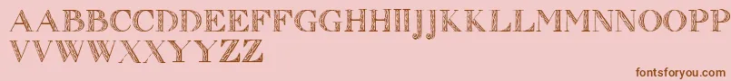 Zierinitialen1 Font – Brown Fonts on Pink Background